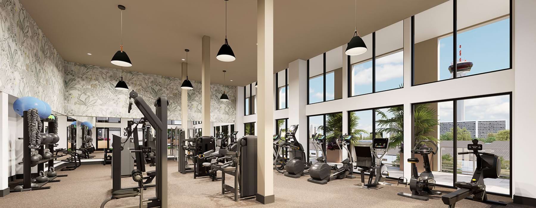 variety of workout equipment in gym