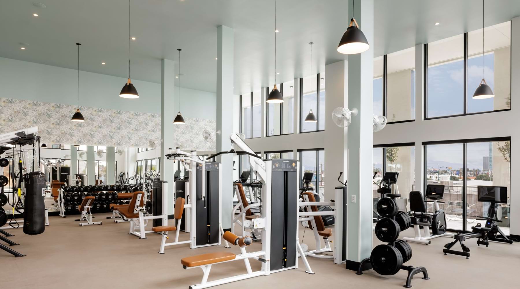 Large Gym Showing a lot of Equipment