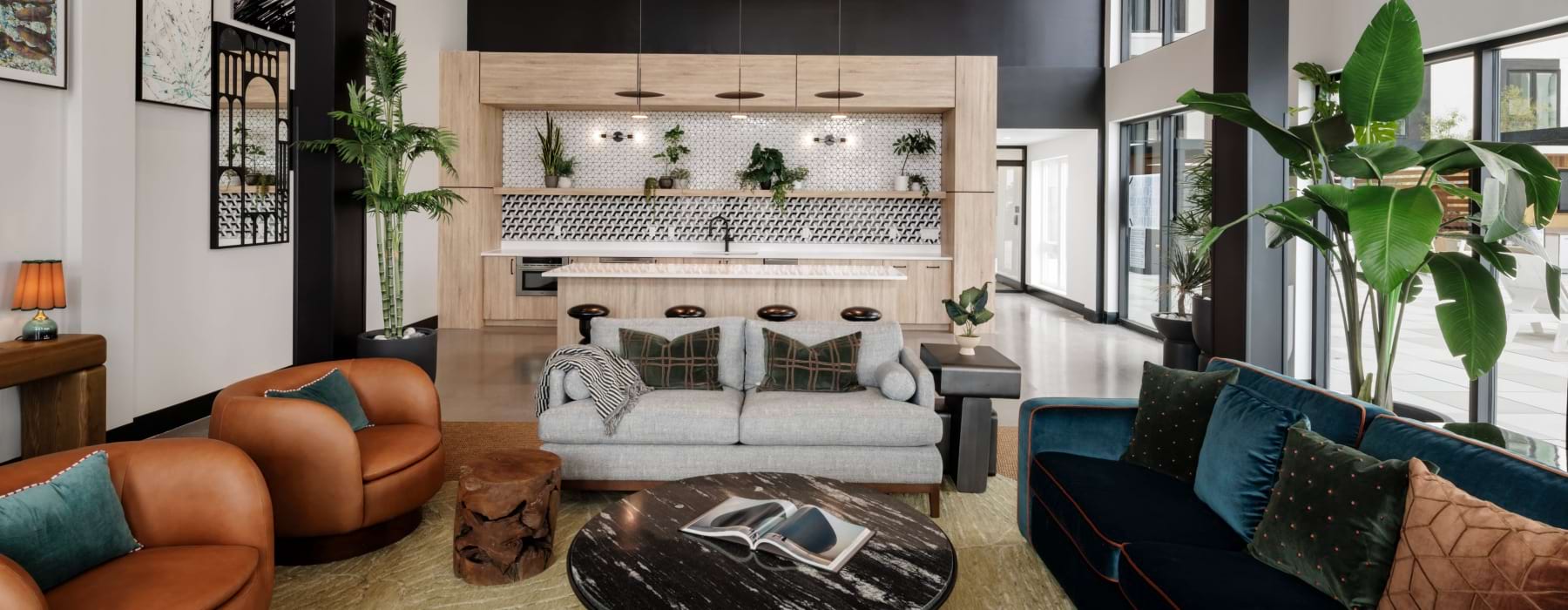 Lounge with couches