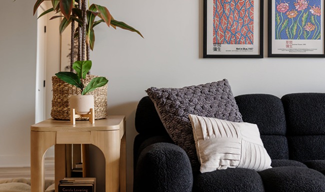 Couch and Plant