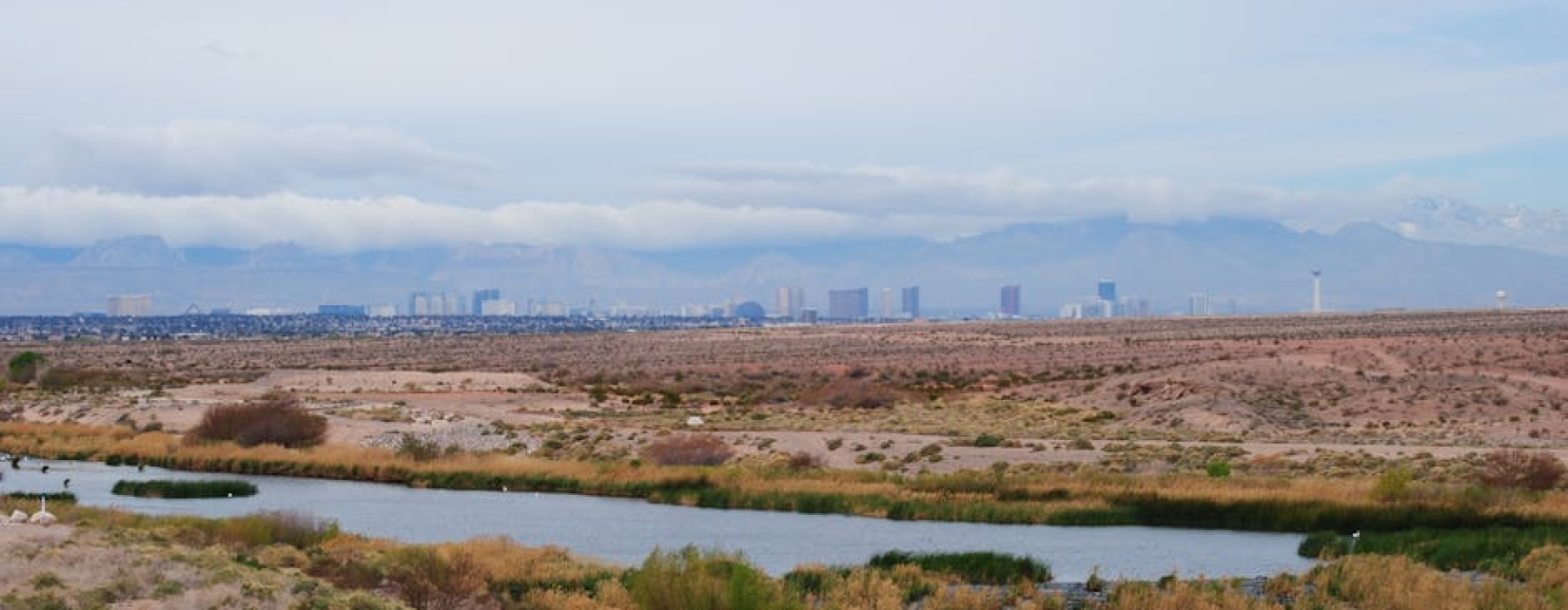 apartments in las vegas nv no credit check