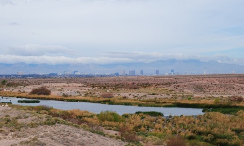 apartments in las vegas nv no credit check