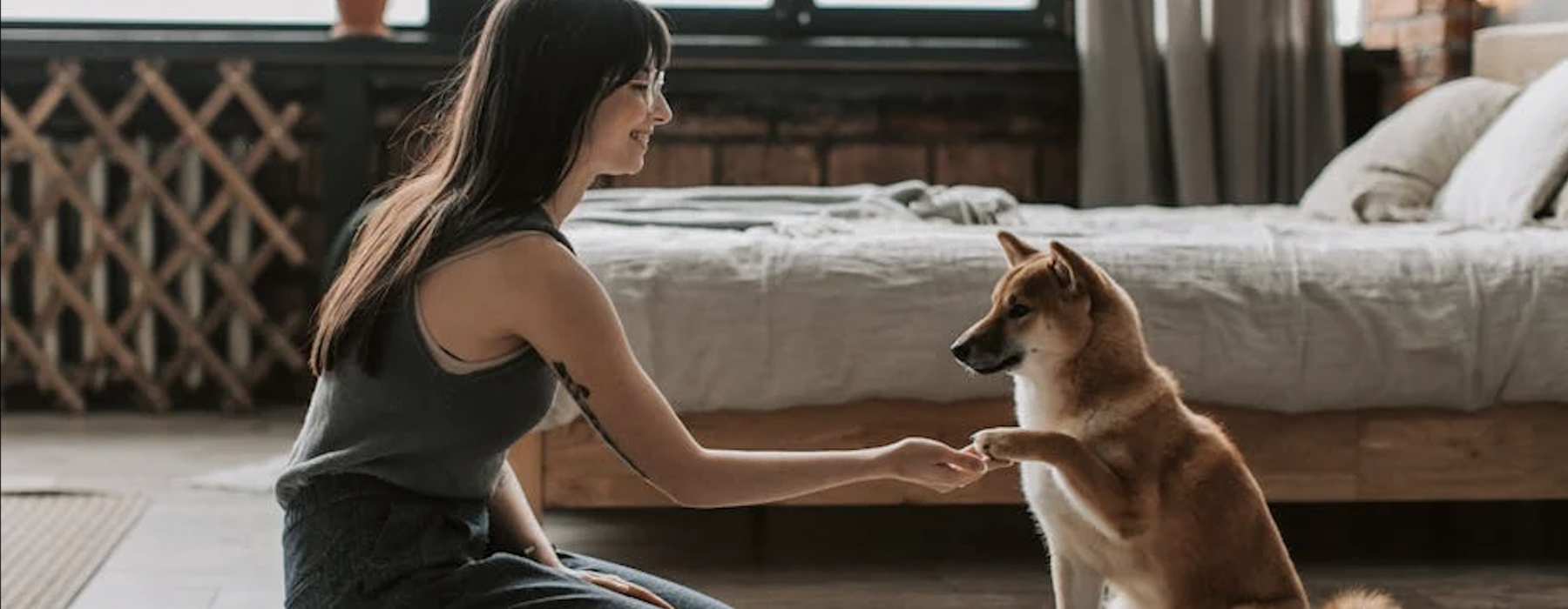 person with dog in modern apartment - dog friendly apartments near me