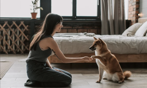 person with dog in modern apartment - dog friendly apartments near me